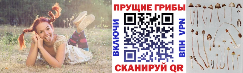 Купить где  Зеленодольск  Псилоцибиновые грибы Magic Shrooms 